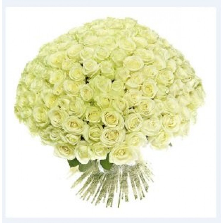 Букет 101 роза белая 50 см