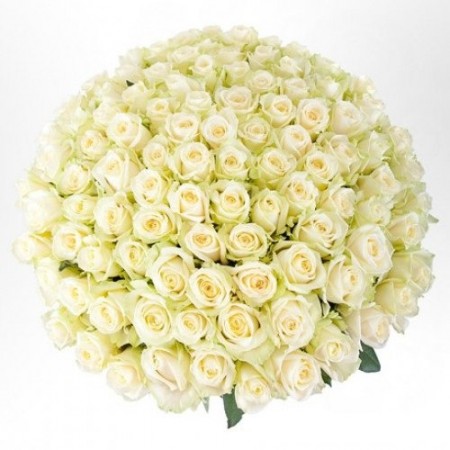 Купить 101 белую розу с доставкой по Санкт Петербургу