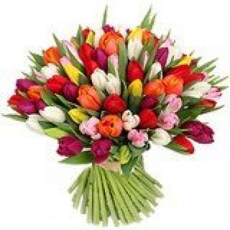 Bouquet of tulips for March 8 Bouquet of tulips for March 8