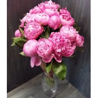 15 пионов Jules Elie
