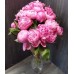 Sale 15 Peonies Jules Elie