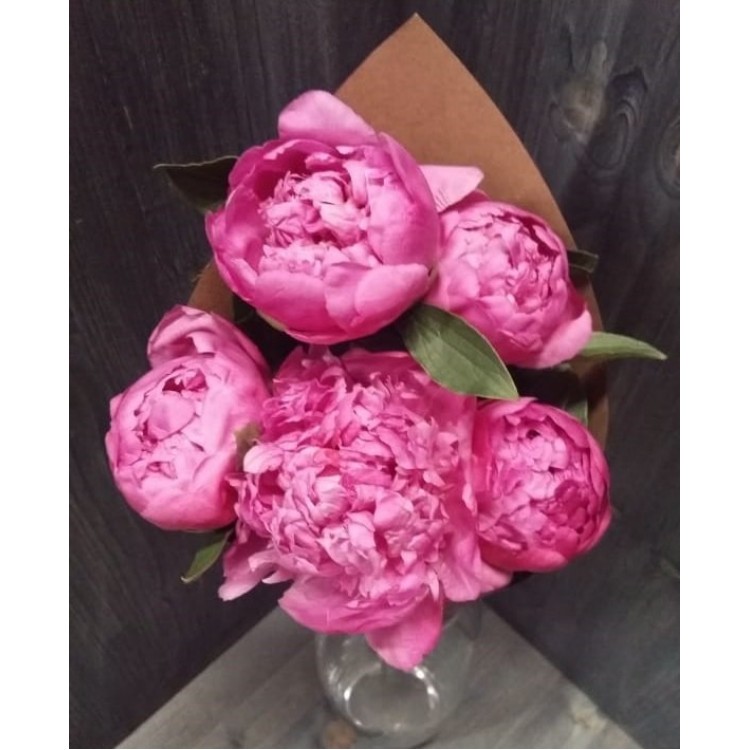 5 пионов Jules Elie
