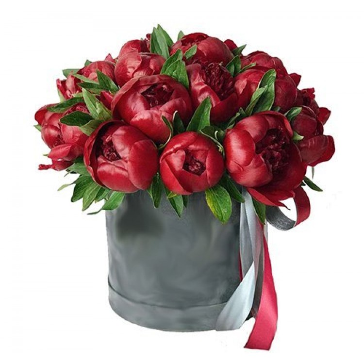 Sale Maroon peonies in a box