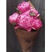 Sale 5 Jules Elie peonies