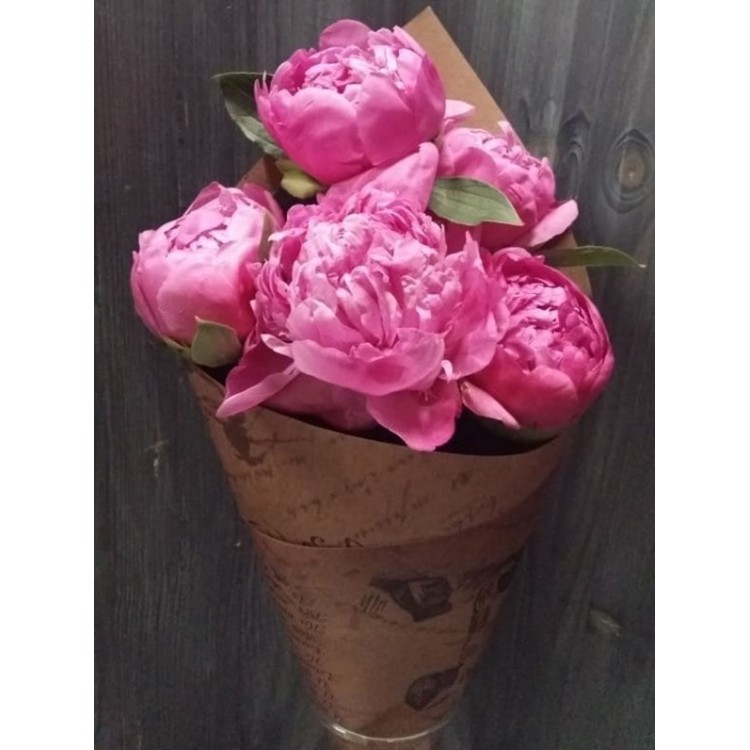 5 пионов Jules Elie
