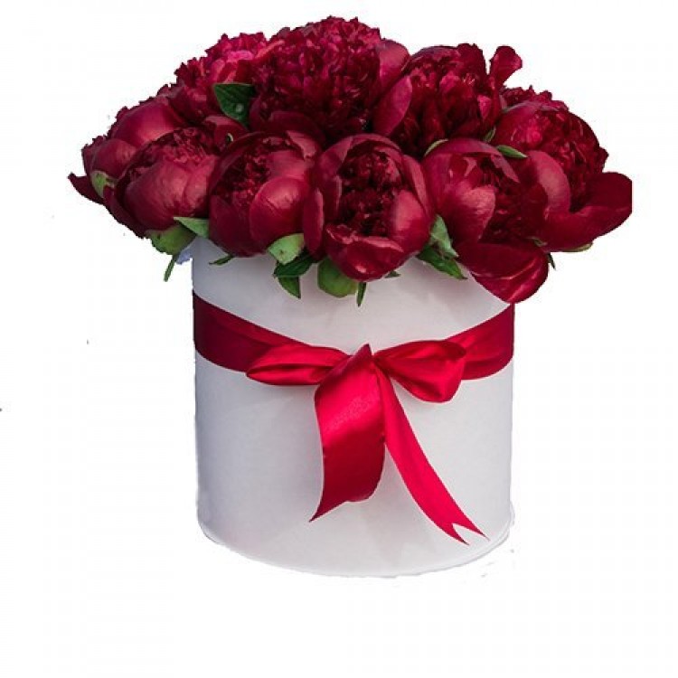 Sale Maroon peonies in a box