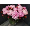 15 Pink peonies Premium
15 Pink peonies Premium
