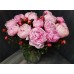 Sale 15 Pink peonies Premium