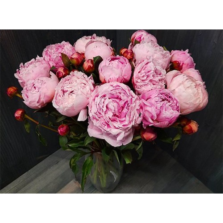 Sale 15 Pink peonies Premium

