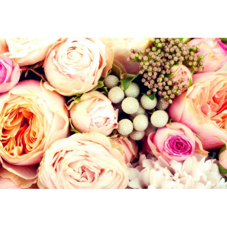 The secrets of caring for roses at home.