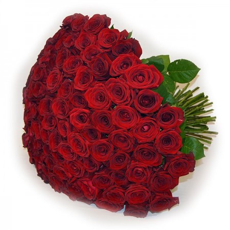 Букет 101 красная роза 50 см