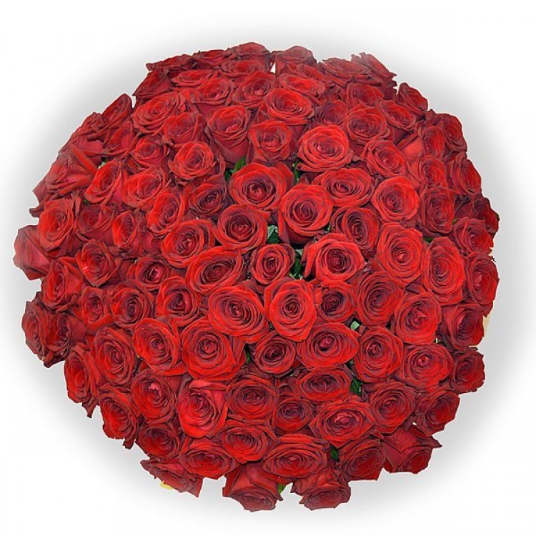 Sale 101 RED ROSES BOUQUET
