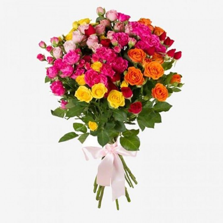 Sale 15 Bush roses mix Sale 15 Bush roses mix