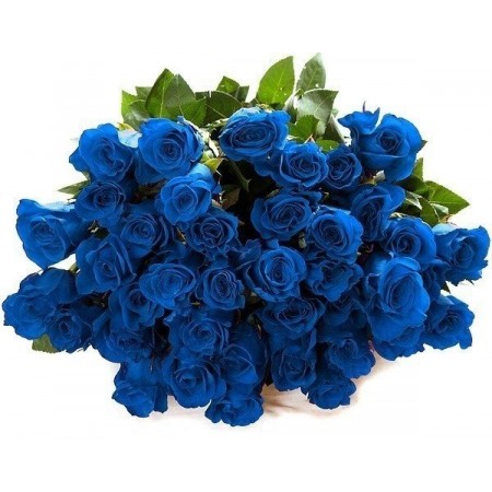 Букет 21 синяя роза
