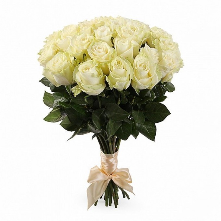 Sale 25 white roses Ecuador
