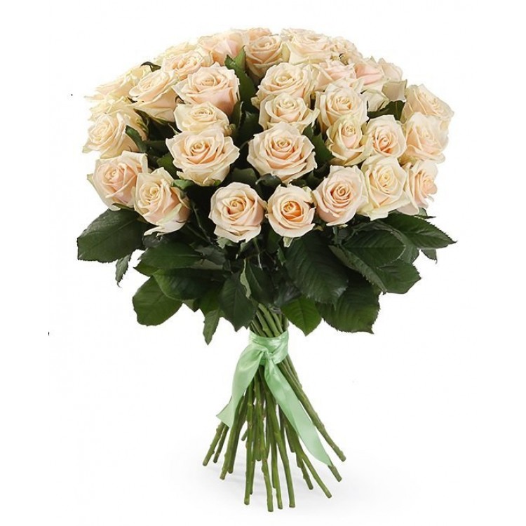 Sale Bouquet 31 cream-colored roses 70 cm
