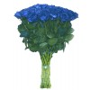 51 Blue Roses
