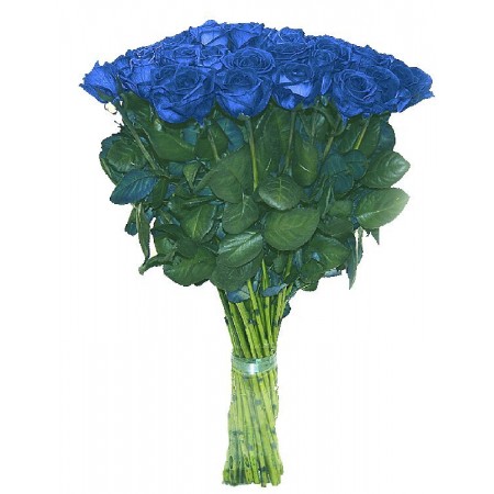 Купить букет 51 синяя роза с доставкой в СПб