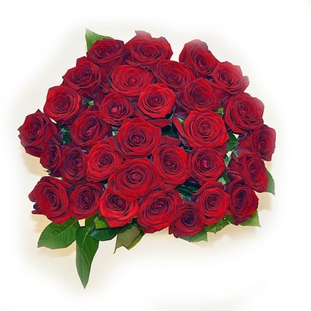 Букет 31 красная роза 50 см