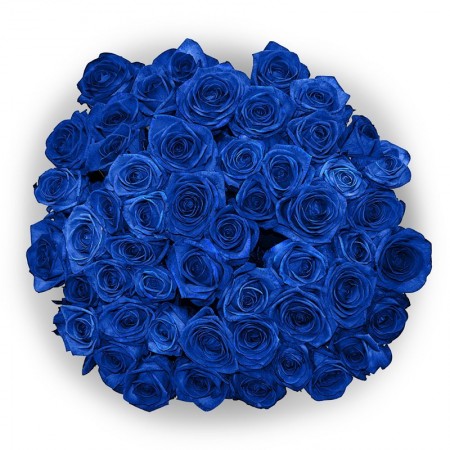 Купить букет 51 синяя роза с доставкой в СПб