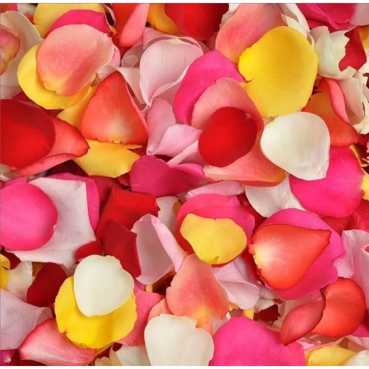 Sale rose petals
Sale rose petals