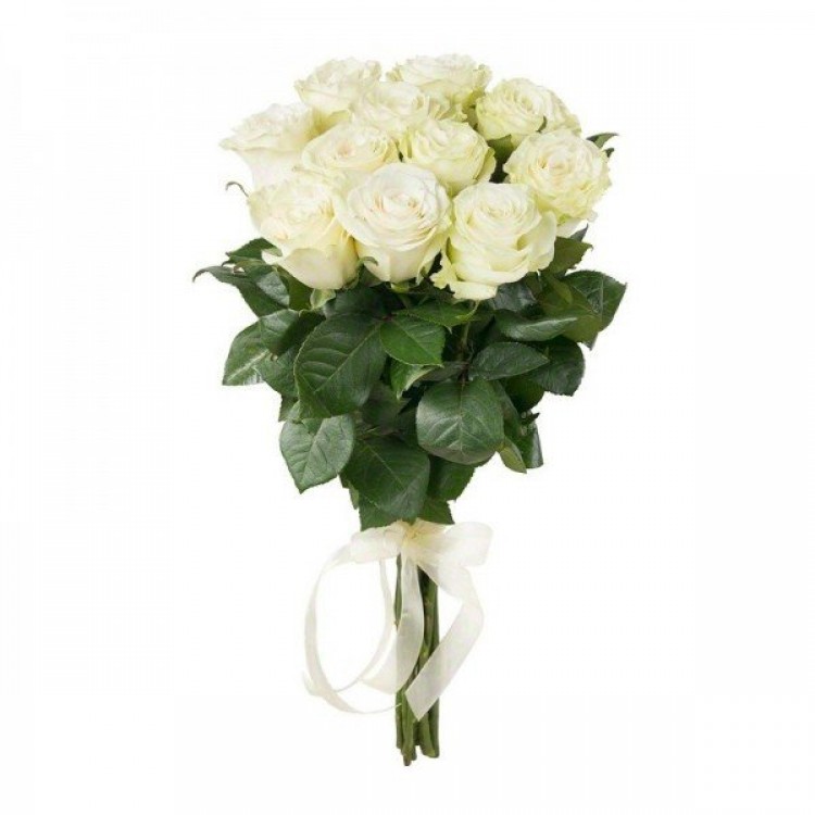 Sale 11 white roses Ecuador Sale 11 white roses Ecuador