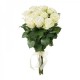 11 белых роз Эквадор