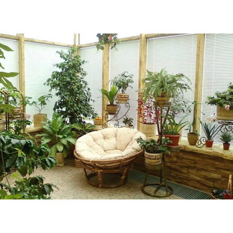 Phytodesign rules Phytodesign rules