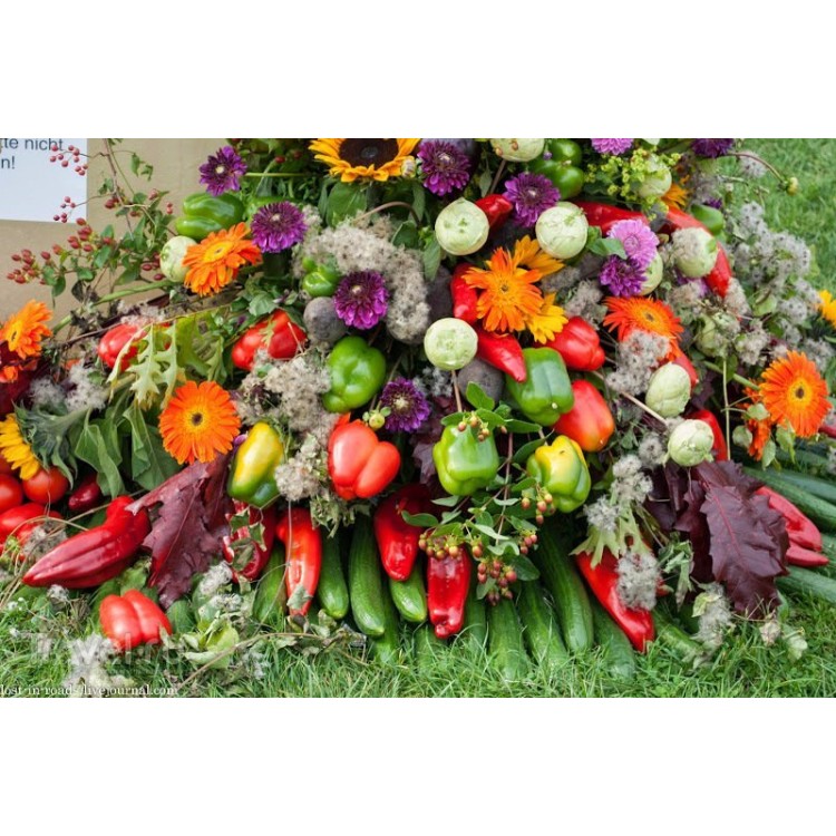 Drawing up a bouquet by a harvest holiday