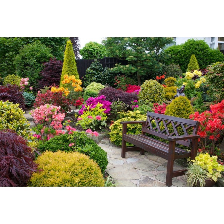 The effect of plant color on humans