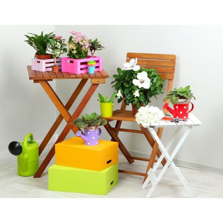 Как ухаживать и выращивать цветы перед осенью