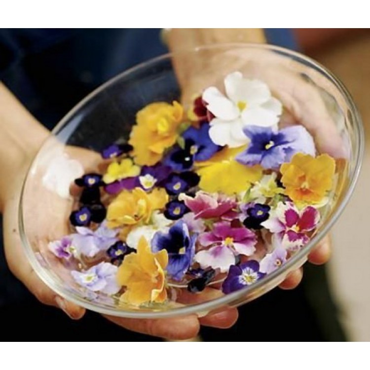 Flower Salads Flower Salads