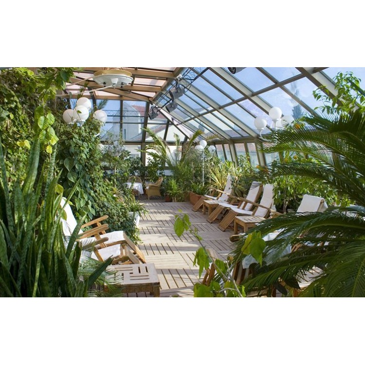 Как ухаживать за растениями в зимнем саду