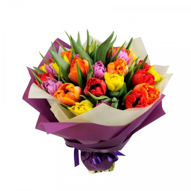 Sale 25 peony tulips