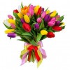 31 tulips mix
