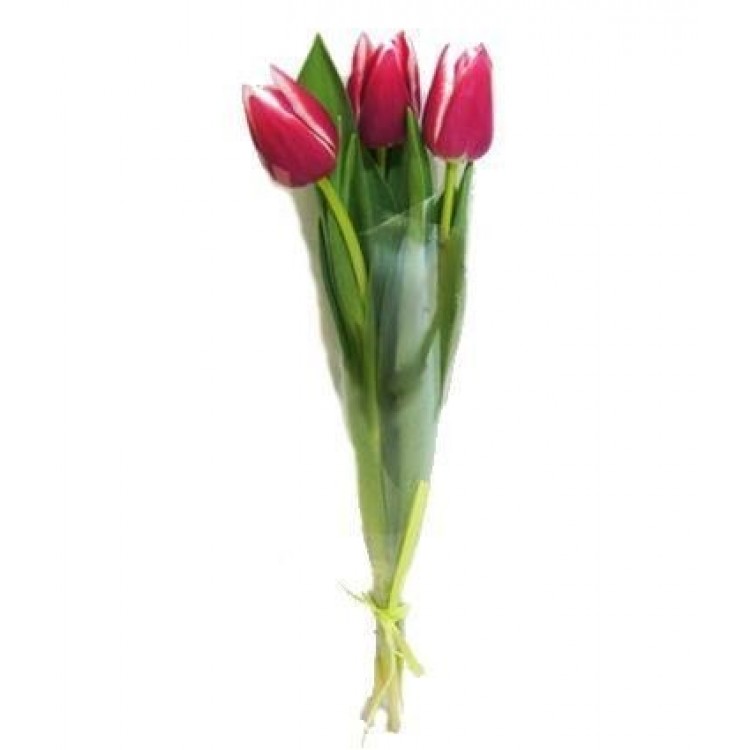 Sale Tulips mix