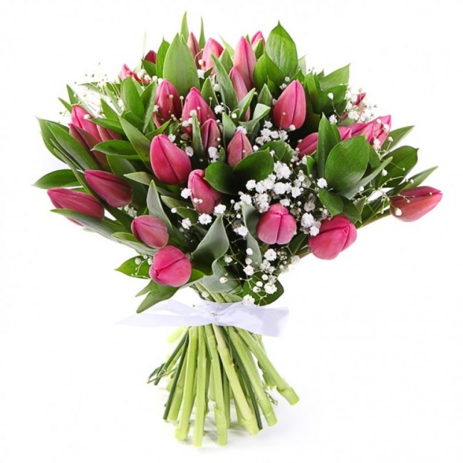 35 тюльпанов с гипсофилой