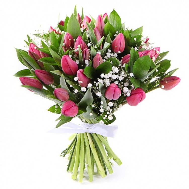 35 тюльпанов с гипсофилой
