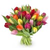 25 Tulips